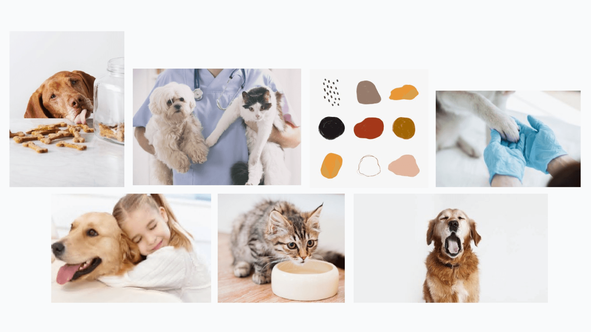 Datapet moodboard